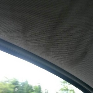 Message: greasy handprint I found on my headliner after leaving the dealer for my 10K mile oil change.