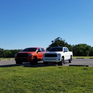 Came back from a mountain bike ride to find my truck made a friend.