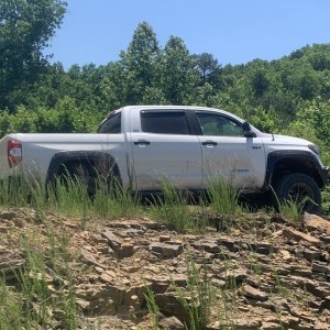 Tundra Byrds