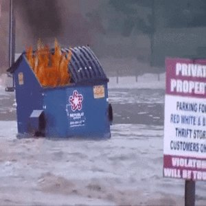 Dumpster Fire