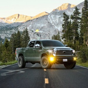 Tundra