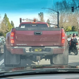 Smallpp-licence-plate