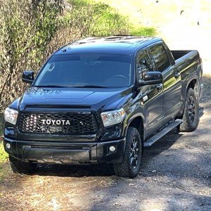 Tundra pics
