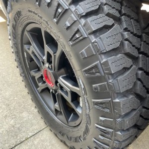 TUF Shine