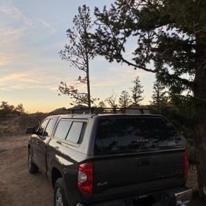 Tundra