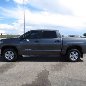 Steve Tundra