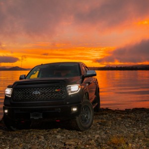 Tundra Time