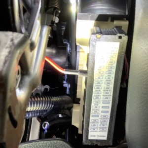 IMG-1928