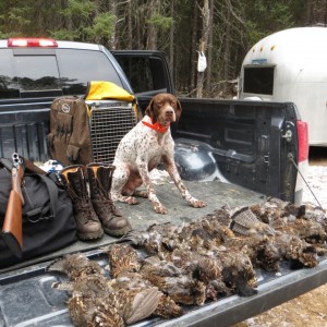 upland hunting