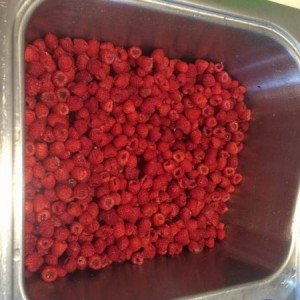 Raspberries anyone?