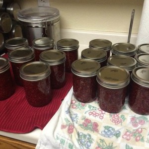 Mmmmm Jam!