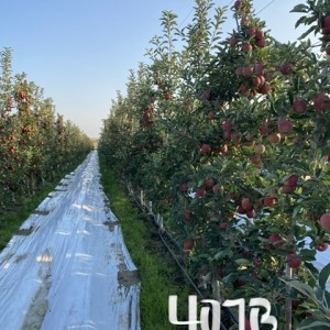 E555167F-9BF4-4FC4-AE3E-4647E76BC74B