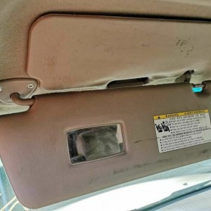 Dual Sun Visor