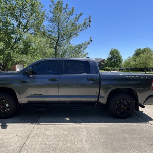 Tundra1