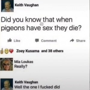 @squattin pigeon