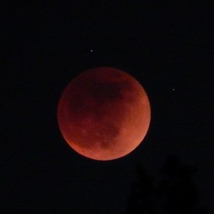 Moon 1