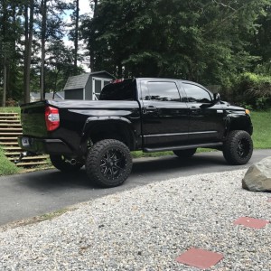 Clean Tundra