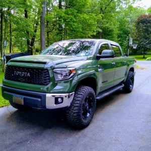 The Hulk