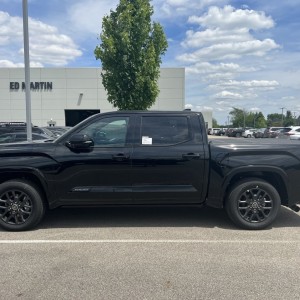 Platinum in Midnight Black Metallic