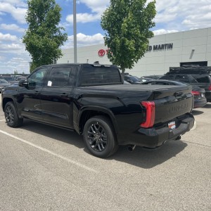 Platinum in Midnight Black Metallic