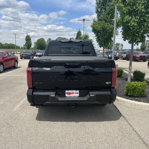 Platinum in Midnight Black Metallic