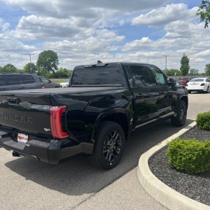 Platinum in Midnight Black Metallic