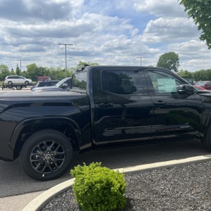 Platinum in Midnight Black Metallic