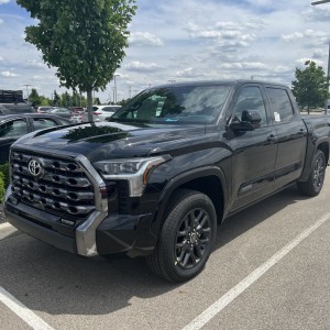 Platinum in Midnight Black Metallic