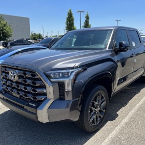 Platinum in Magnetic Gray Metallic