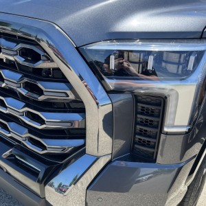 Platinum in Magnetic Gray Metallic