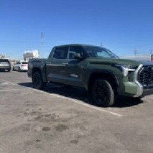 Tundra
