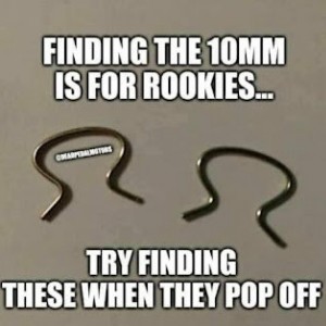 Try Finding These