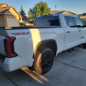 Tundra Photo