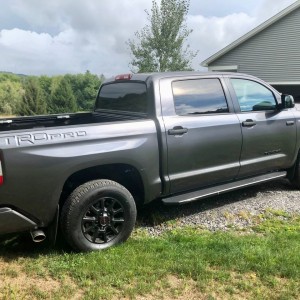 Tundra2