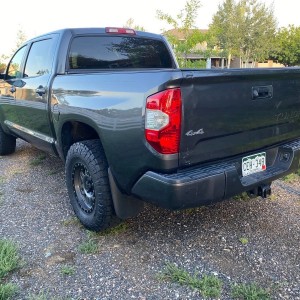 T6