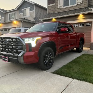 Tundra