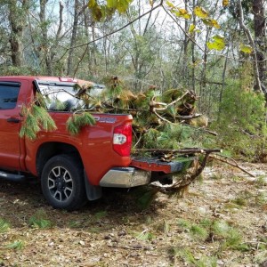 2016 Tundra