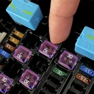 1FE2CDFB-FB89-4B99-AFFB-B32DCBF38750