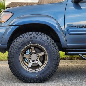 Tundrassw
