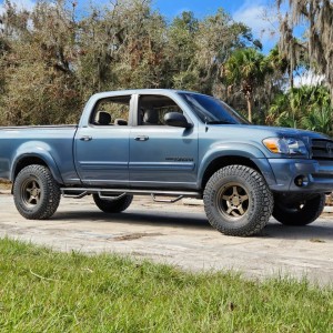 Tundrassw1