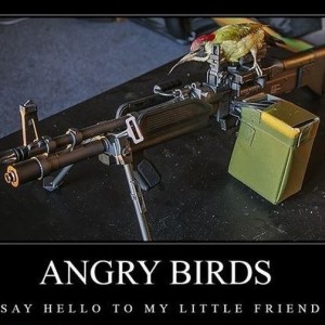 Angry-birds-gun