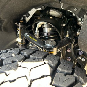 Image6