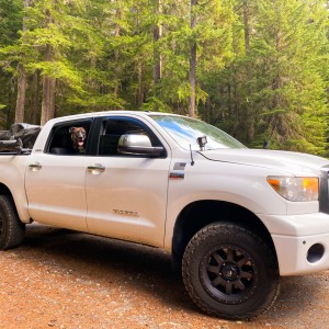 Tundra 2