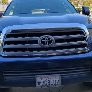 Grille before