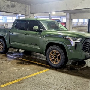 Tundra