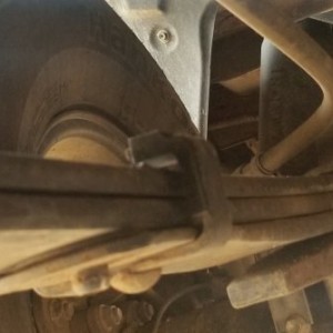 TundraSpring
