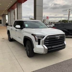 Tundra2