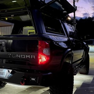 Tundra Gullwing