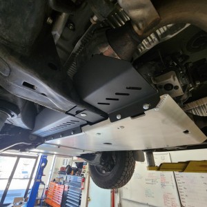 RCIcatplates