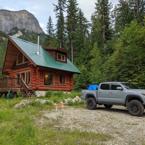 Tacomas